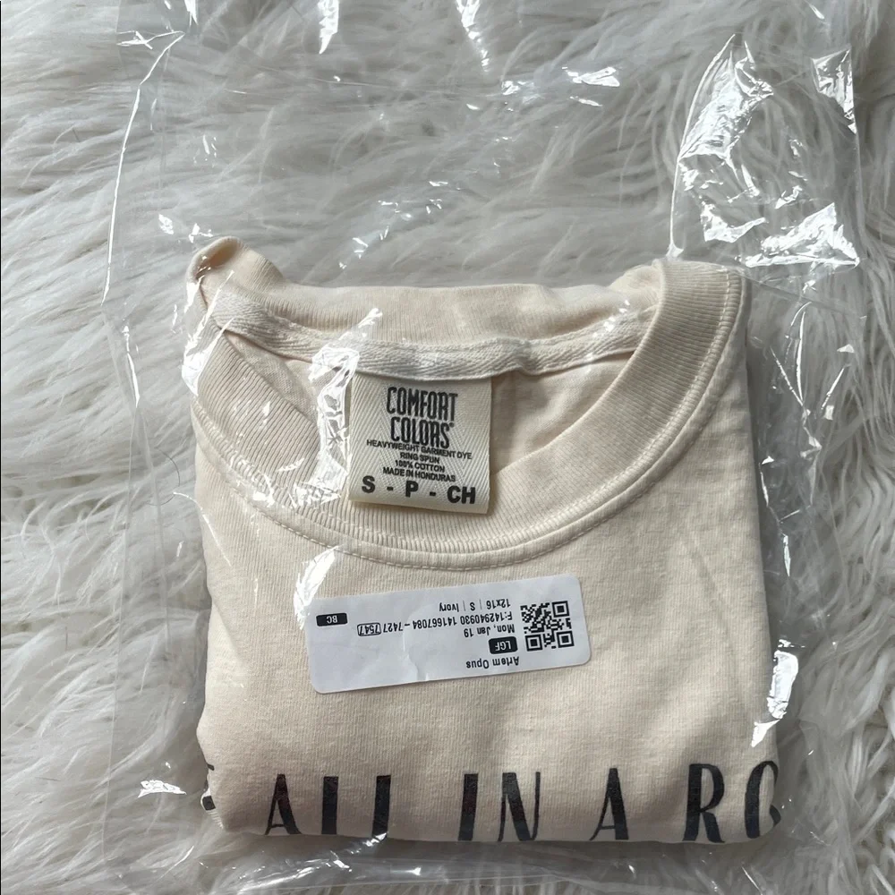 Comfort Colors Ducks Cream Graphic Tee - Short Sleeve - Picture 4 of 4